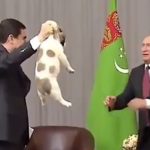 犬に優しいプーチン