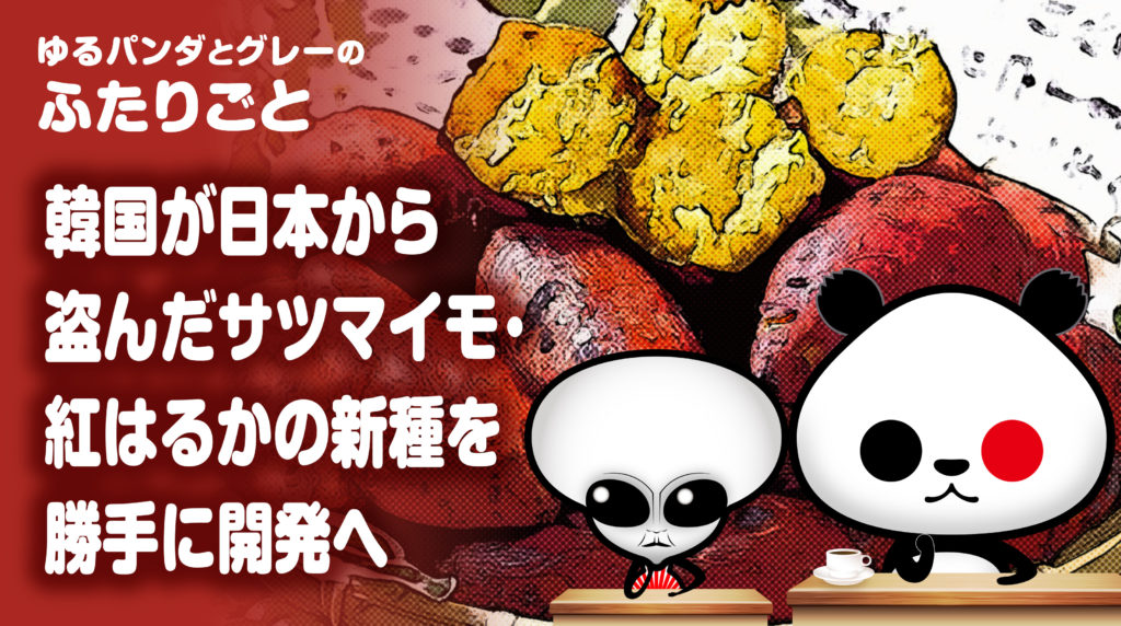 韓国が日本から盗んだサツマイモ