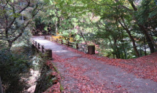 スマホ撮影中に橋から約40ｍ転落