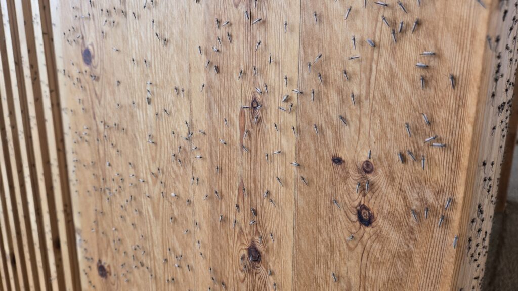 大阪万博の虫大量発生