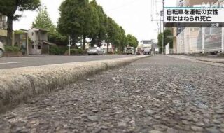 自転車の30代女性が車道に転倒
