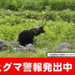 ヒグマ警報