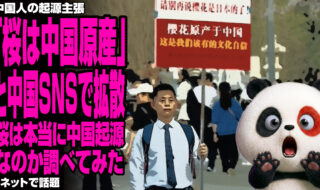 「桜は中国原産」と中国SNSで拡散　桜は本当に中国起源なのか調べてみたが話題